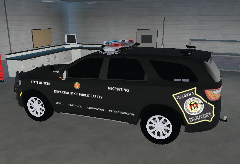 Georgia Department of Public Safety